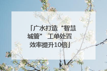 广水打造“智慧城管” 工单处置效率提升10倍