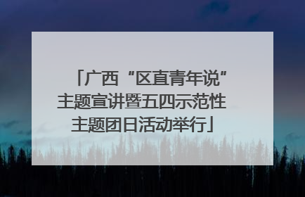 广西“区直青年说”主题宣讲暨五四示范性主题团日活动举行