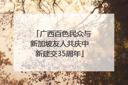 广西百色民众与新加坡友人共庆中新建交35周年