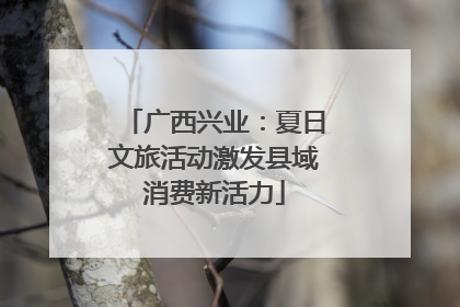 广西兴业：夏日文旅活动激发县域消费新活力
