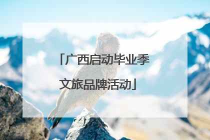 广西启动毕业季文旅品牌活动