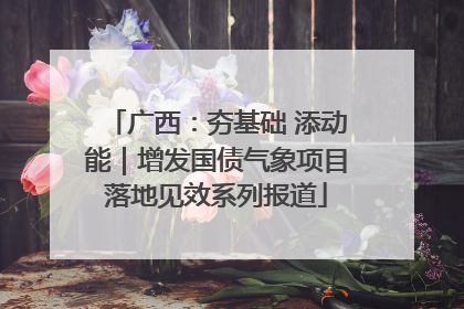 广西：夯基础 添动能｜增发国债气象项目落地见效系列报道