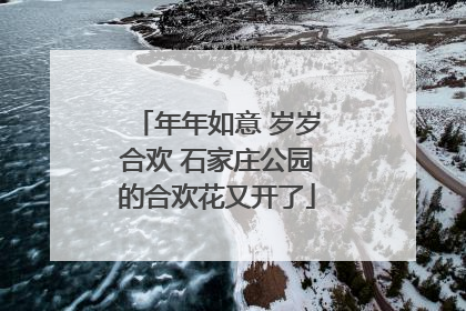 年年如意 岁岁合欢 石家庄公园的合欢花又开了