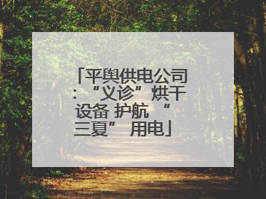 平舆供电公司：“义诊”烘干设备 护航 “三夏” 用电
