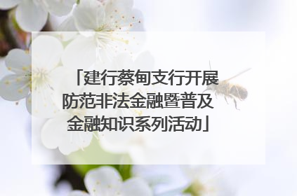 建行蔡甸支行开展防范非法金融暨普及金融知识系列活动