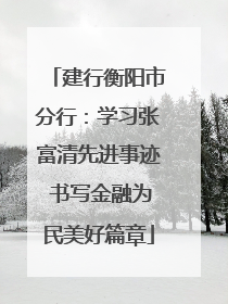 建行衡阳市分行：学习张富清先进事迹 书写金融为民美好篇章