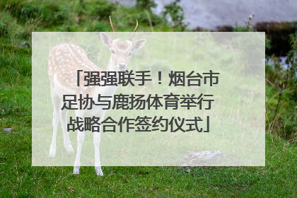 强强联手！烟台市足协与鹿扬体育举行战略合作签约仪式