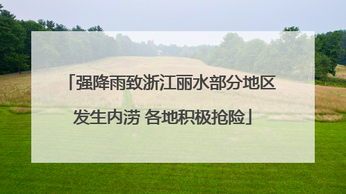 强降雨致浙江丽水部分地区发生内涝 各地积极抢险