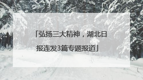 弘扬三大精神，湖北日报连发3篇专题报道