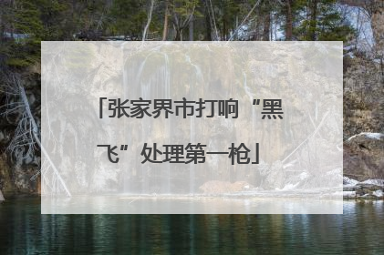 张家界市打响“黑飞”处理第一枪