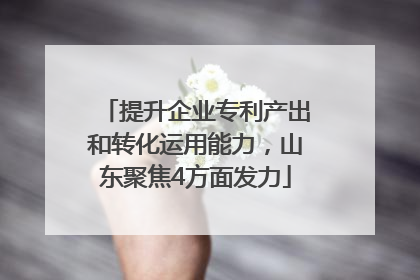 提升企业专利产出和转化运用能力，山东聚焦4方面发力