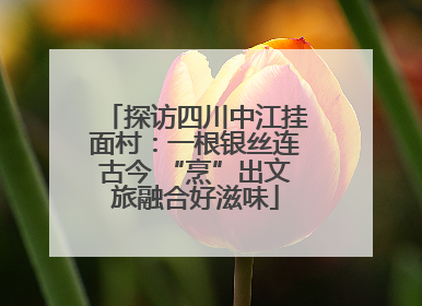探访四川中江挂面村：一根银丝连古今 “烹”出文旅融合好滋味