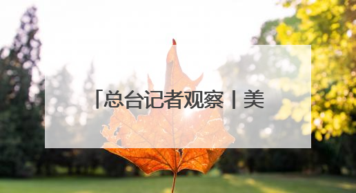 总台记者观察丨美欧贸易冲突升级 德国或面临2500亿欧元累计损失