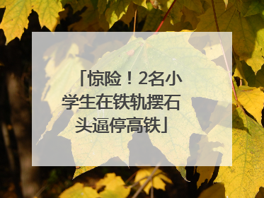 惊险！2名小学生在铁轨摆石头逼停高铁