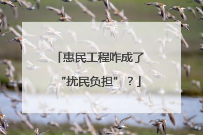 惠民工程咋成了“扰民负担”？