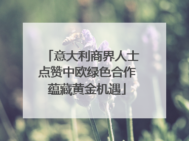 意大利商界人士点赞中欧绿色合作蕴藏黄金机遇
