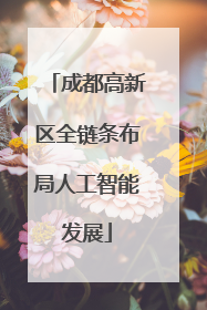 成都高新区全链条布局人工智能发展