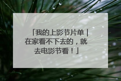 我的上影节片单｜在家看不下去的，就去电影节看！