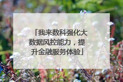 我来数科强化大数据风控能力，提升金融服务体验