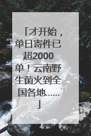 才开始，单日寄件已超2000单！云南野生菌火到全国各地……