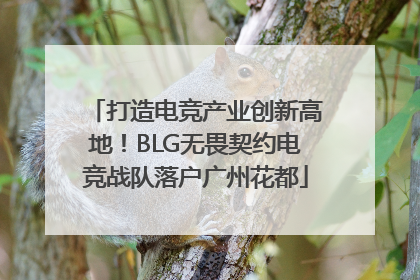 打造电竞产业创新高地！BLG无畏契约电竞战队落户广州花都