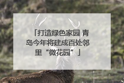 打造绿色家园 青岛今年将建成百处邻里“微花园”