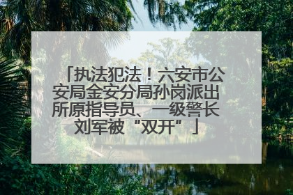 执法犯法！六安市公安局金安分局孙岗派出所原指导员、一级警长刘军被“双开”