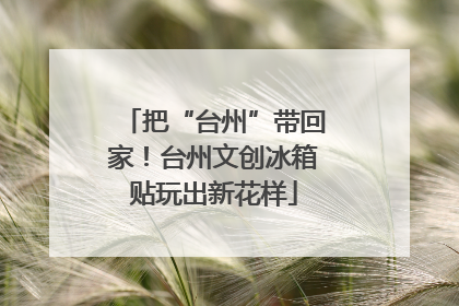 把“台州”带回家！台州文创冰箱贴玩出新花样