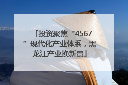 投资聚焦“4567”现代化产业体系，黑龙江产业换新景