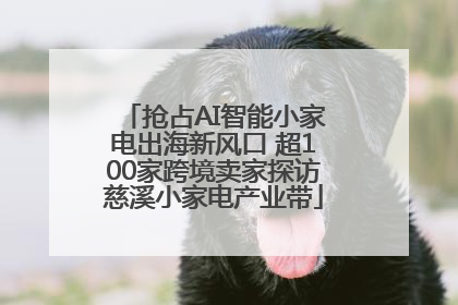 抢占AI智能小家电出海新风口 超100家跨境卖家探访慈溪小家电产业带