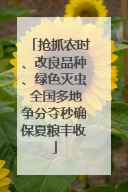 抢抓农时、改良品种、绿色灭虫 全国多地争分夺秒确保夏粮丰收