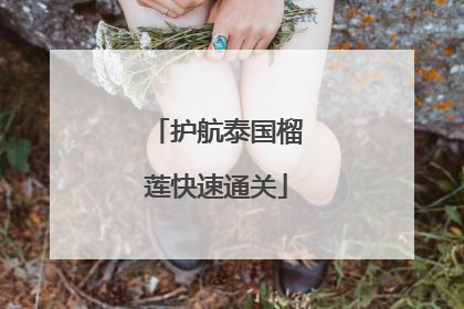 护航泰国榴莲快速通关