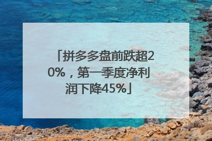 拼多多盘前跌超20%，第一季度净利润下降45%