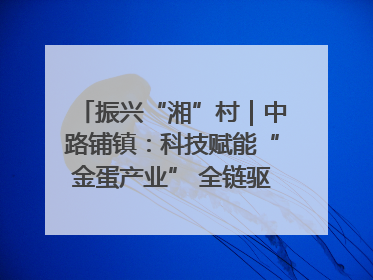 振兴“湘”村｜中路铺镇：科技赋能“金蛋产业” 全链驱动乡村振兴
