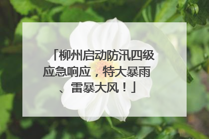 柳州启动防汛四级应急响应，特大暴雨、雷暴大风！