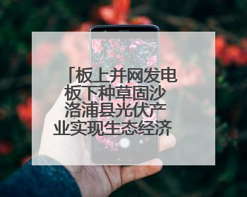 板上并网发电 板下种草固沙 洛浦县光伏产业实现生态经济双收益