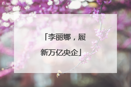 李丽娜，履新万亿央企