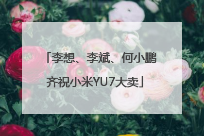 李想、李斌、何小鹏齐祝小米YU7大卖