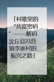 村歌里的“共富密码”——解码沈丘县冯营镇李寨村的振兴之路
