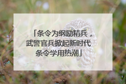 条令为纲励精兵，武警官兵掀起新时代条令学用热潮