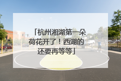 杭州湘湖第一朵荷花开了！西湖的还要再等等