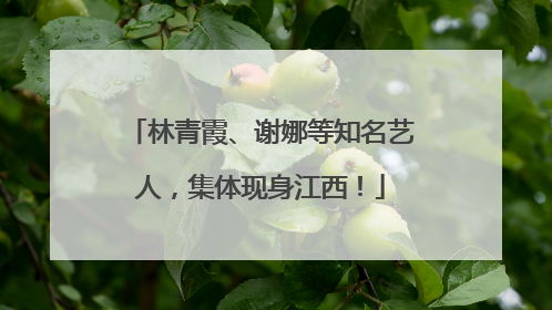 林青霞、谢娜等知名艺人，集体现身江西！