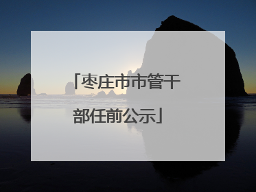 枣庄市市管干部任前公示
