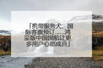 携带服务犬、国际客票预订……鸿蒙版中国国航让更多用户心愿成真