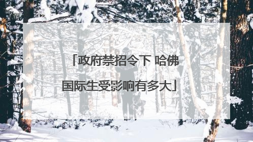 政府禁招令下 哈佛国际生受影响有多大