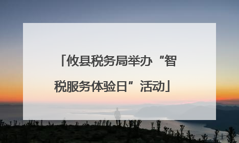 攸县税务局举办“智税服务体验日”活动