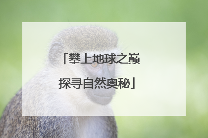 攀上地球之巅 探寻自然奥秘