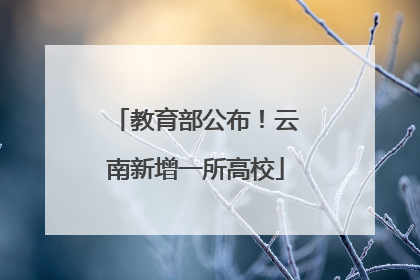 教育部公布！云南新增一所高校