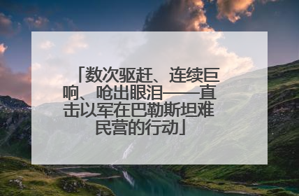 数次驱赶、连续巨响、呛出眼泪——直击以军在巴勒斯坦难民营的行动