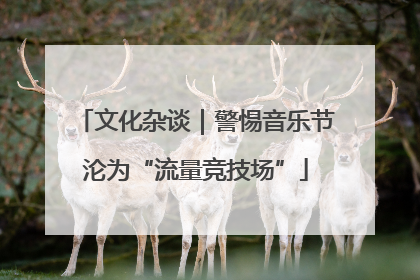 文化杂谈｜警惕音乐节沦为“流量竞技场”